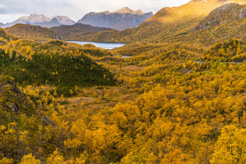 Ryggedalen. Insel Langøya