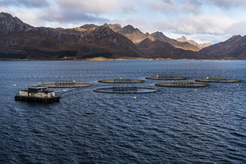 Lachsfarm. Insel Langøya