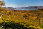 zum Berg Veten (Bø). Insel Langøya