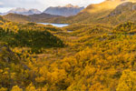 Ryggedalen. Insel Langøya