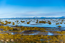 Andfjord. Insel Andøya
