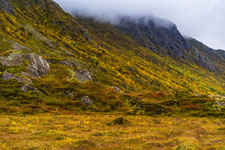 Dronningruta. Insel Langøya