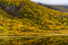 Dronningruta. Insel Langøya