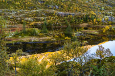 Lifjord. Insel Langøya