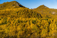 Herbst. Insel Langøya