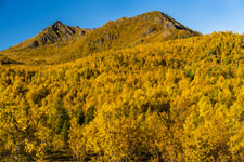 Herbst. Insel Langøya