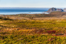 Am Berg Veten (Bø). Insel Langøya