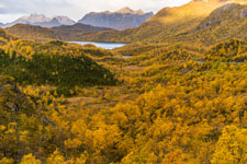 Ryggedalen. Insel Langøya