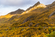 Ryggedalen. Insel Langøya