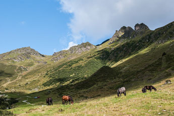 Madrisa Rundtour. Aufstieg zum St. Antönier Joch
