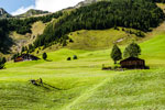 Madrisa Rundtour. St. Antönien. Mäharbeiten