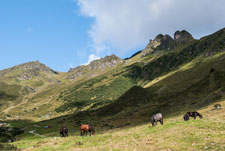Madrisa Rundtour. Aufstieg zum St. Antönier Joch