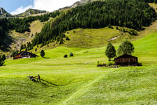 Madrisa Rundtour. St. Antönien. Mäharbeiten